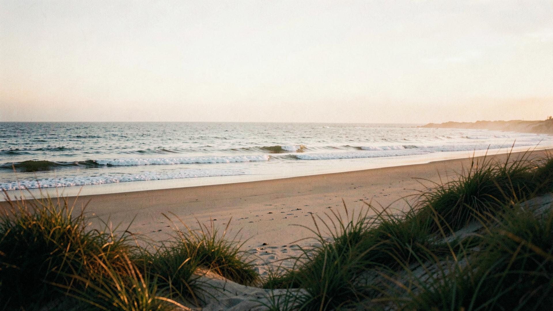Quiet shoreline at golden hour
